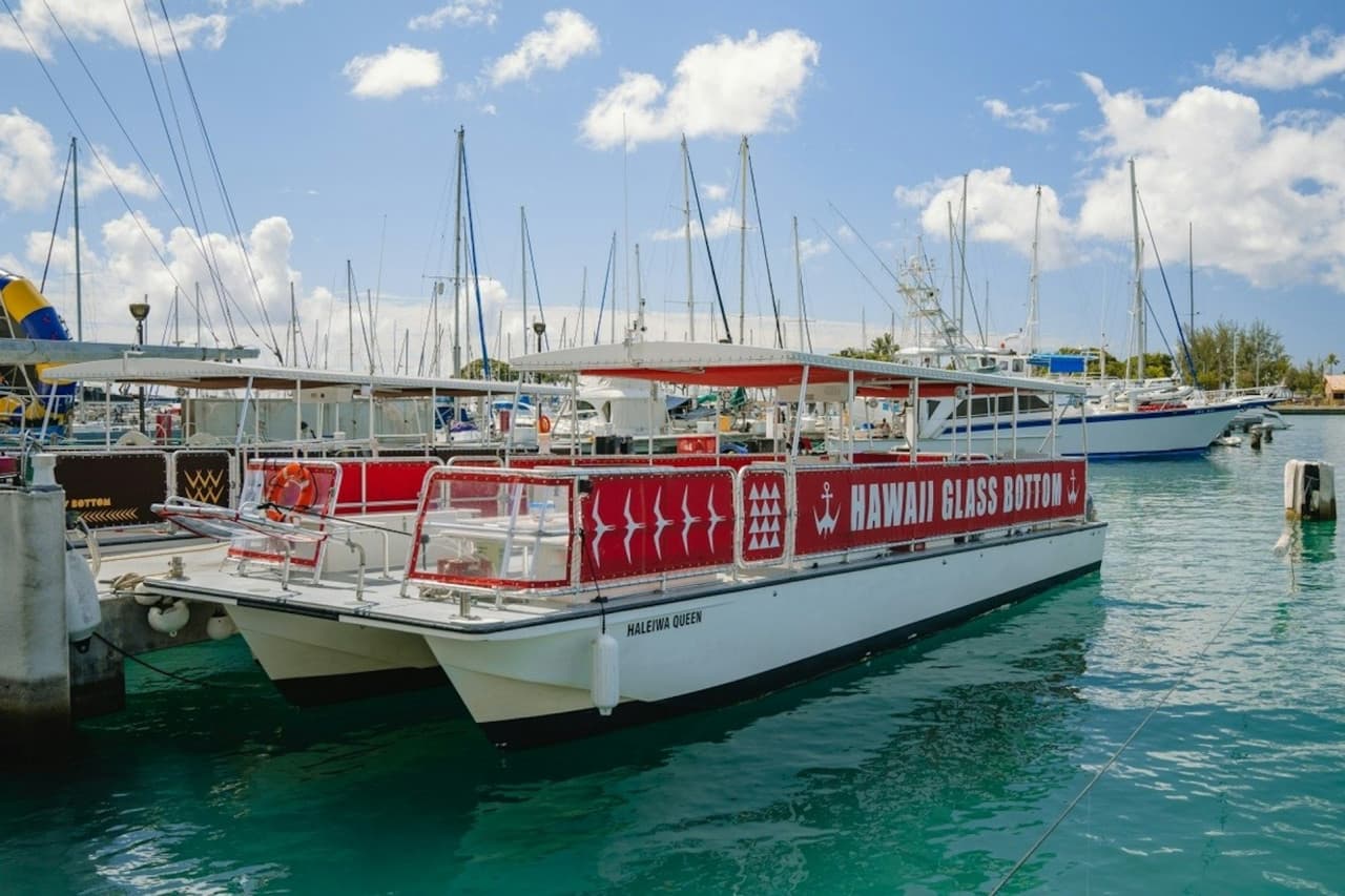 Waikiki: Daytime Glass Bottom Boat Tour – photo 6