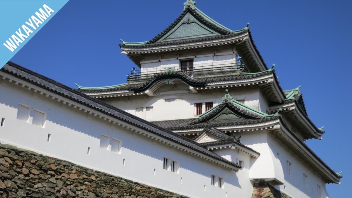 Have Fun in Wakayama Pass - 1 Week Free Pass