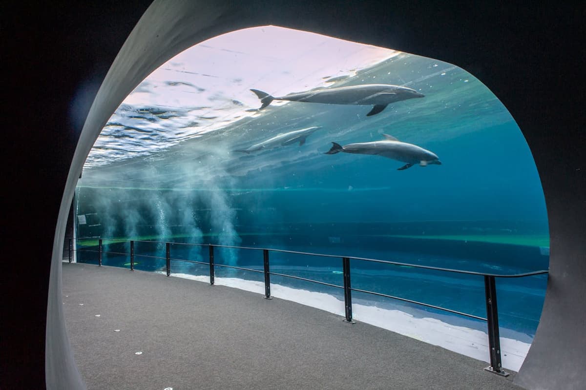 Aquarium of Genoa Ticket