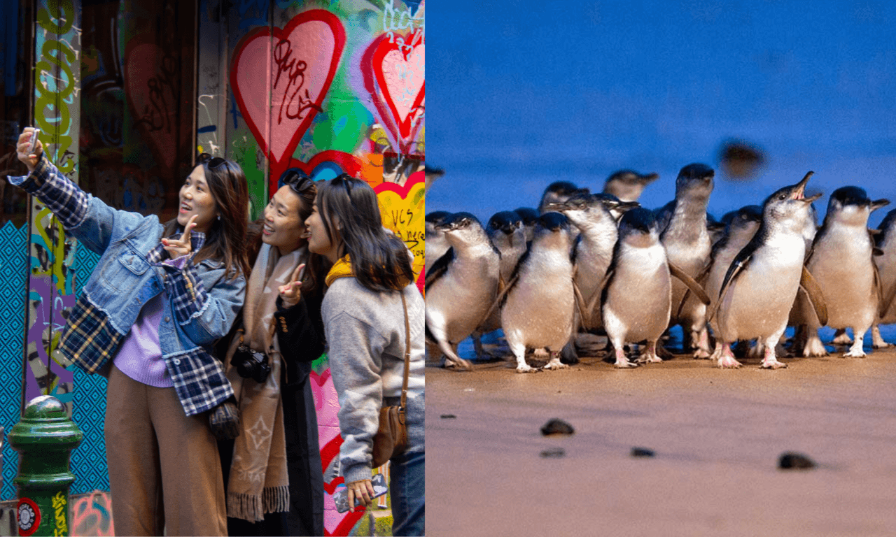 Melbourne City Discovery Tour with Penguin Parade – photo 17