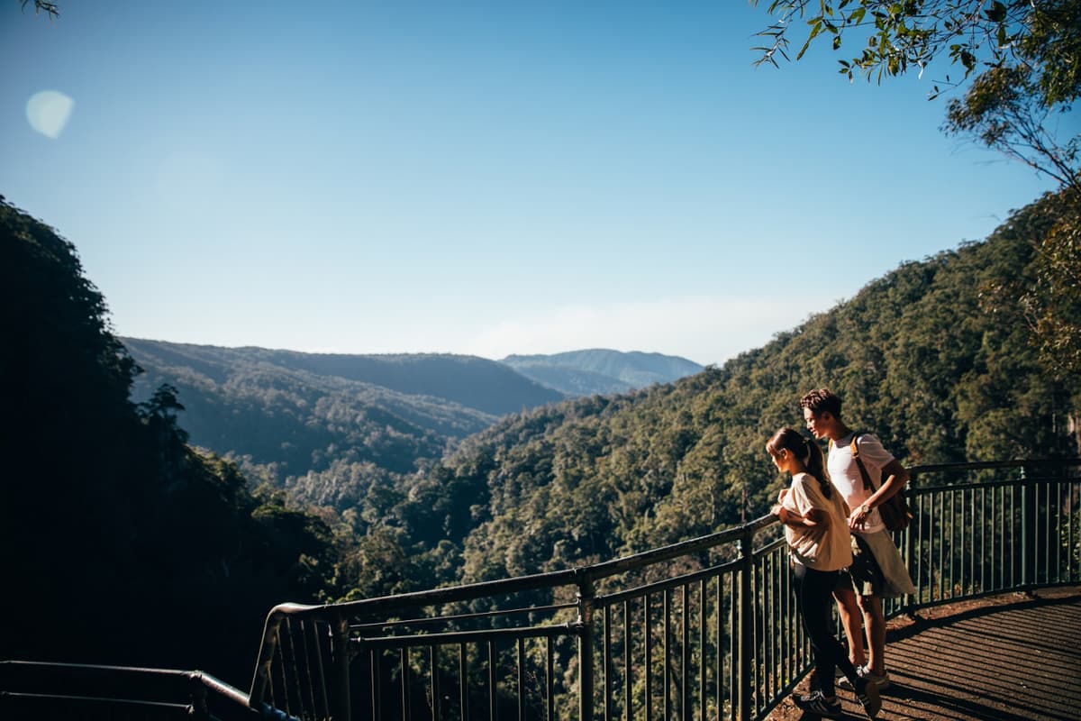 Springbrook National Park Tour: Natural Bridge and Waterfalls
