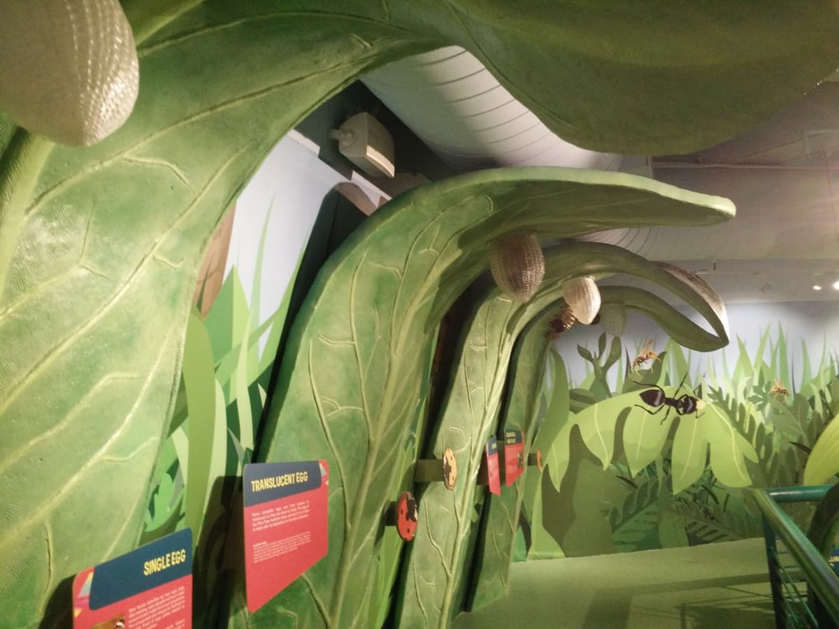 Science Centre Singapore, Omni Theatre, and KidsSTOP Singapore Ticket