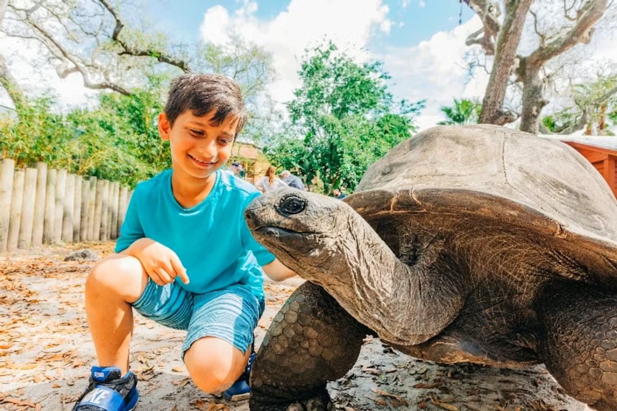 ZooTampa at Lowry Park Ticket