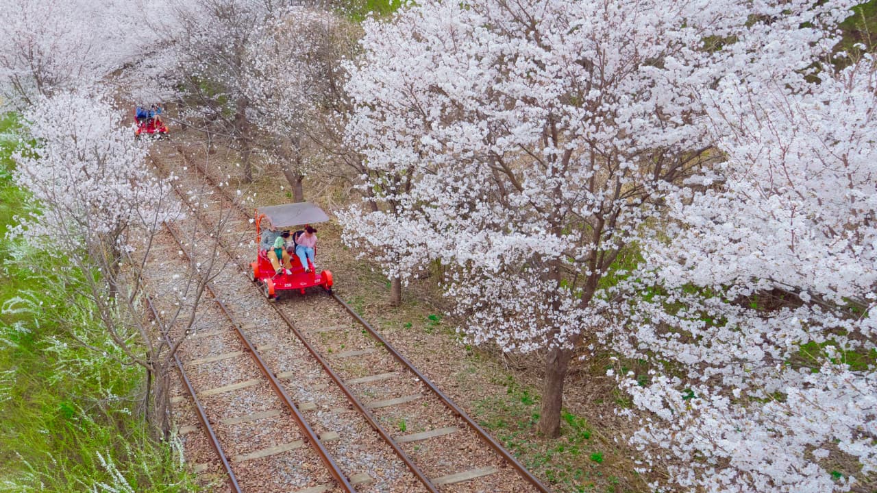 Nami Island, Mount Seorak, and Garden of Morning Calm Full-Day Tour from Seoul – photo 24