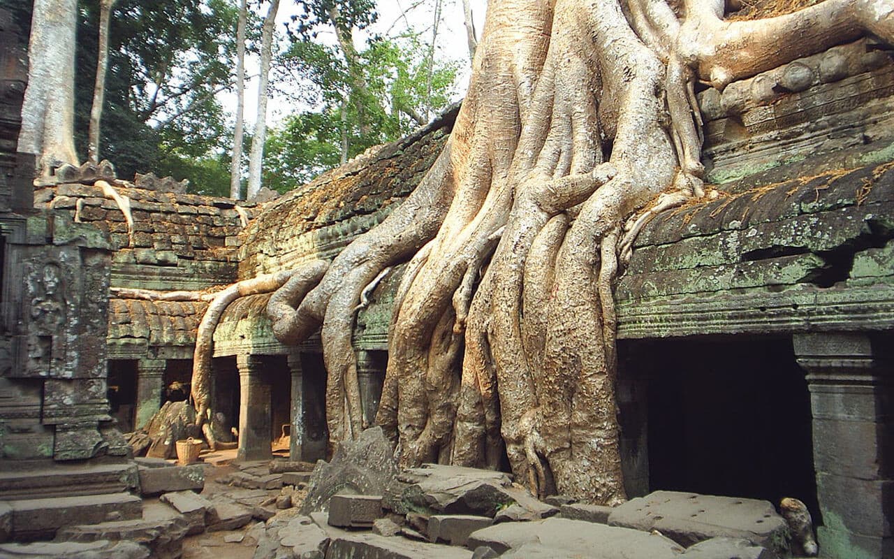 Angkor Archaeological Park and Temples Sunrise Tour – photo 6