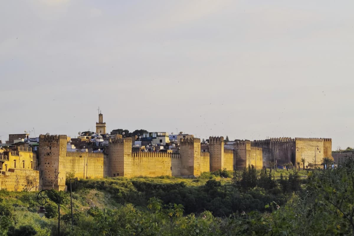 Fez Full-Day Tour from Casablanca: Medina of Fez, Al-Qarawiyyin Mosque, Al-Attarine Medersa