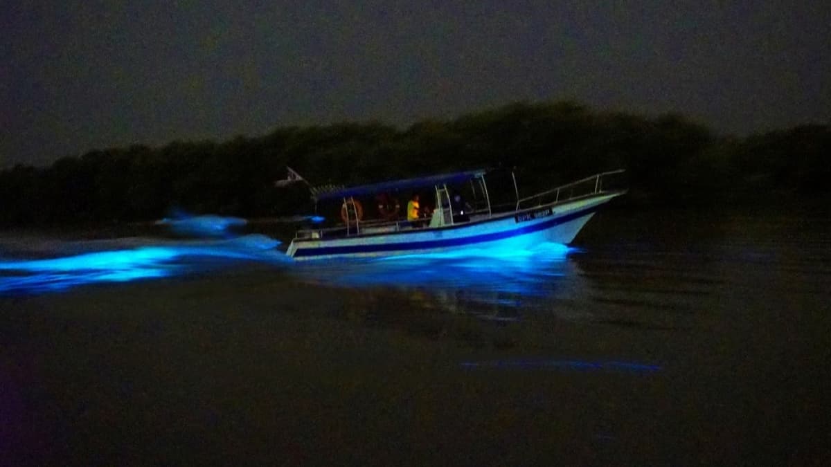 Blue Tears Boat Cruise in Kuala Selangor