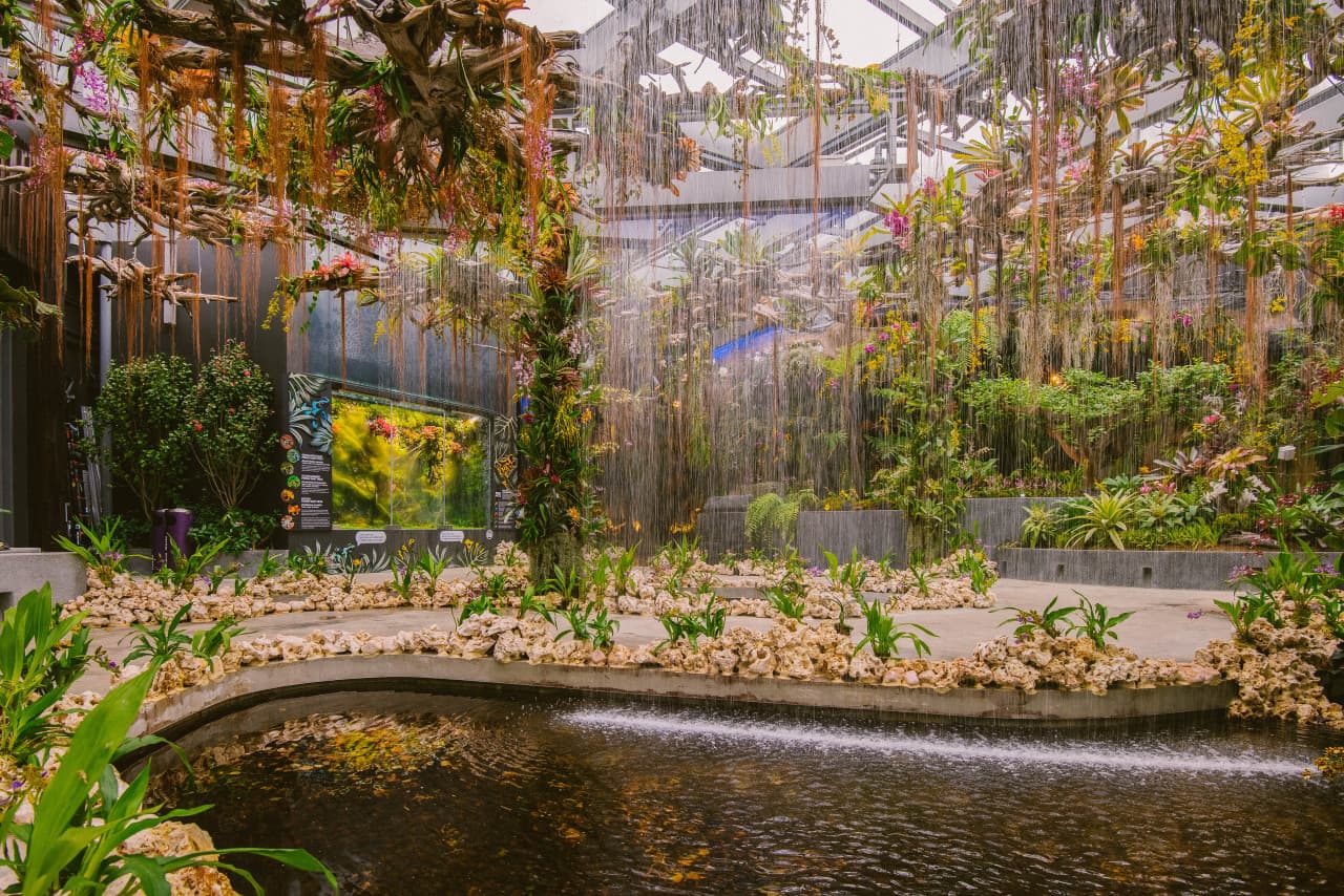 COMBO: Gardens by the Bay - Double Conservatories + Floral Fantasy Ticket