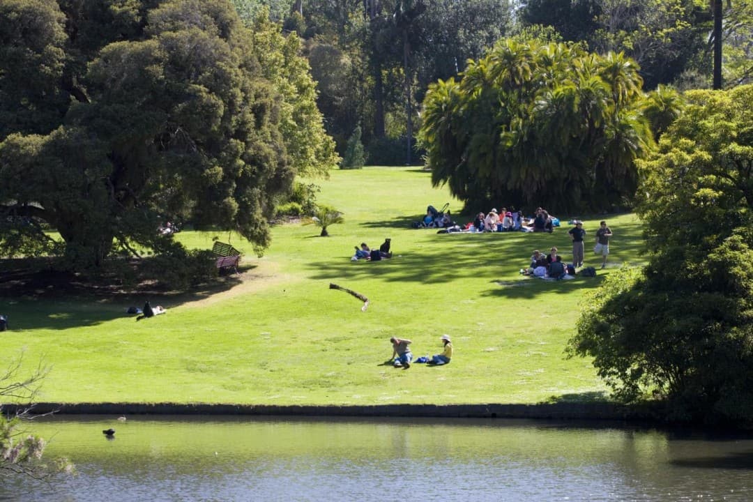 Royal Botanic Gardens and Melbourne City Tour