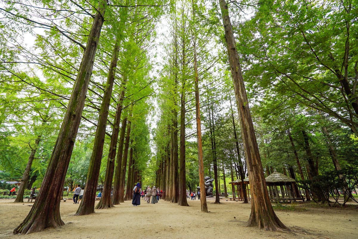 Nami Island, Petite France, and Italian Village Tour from Seoul