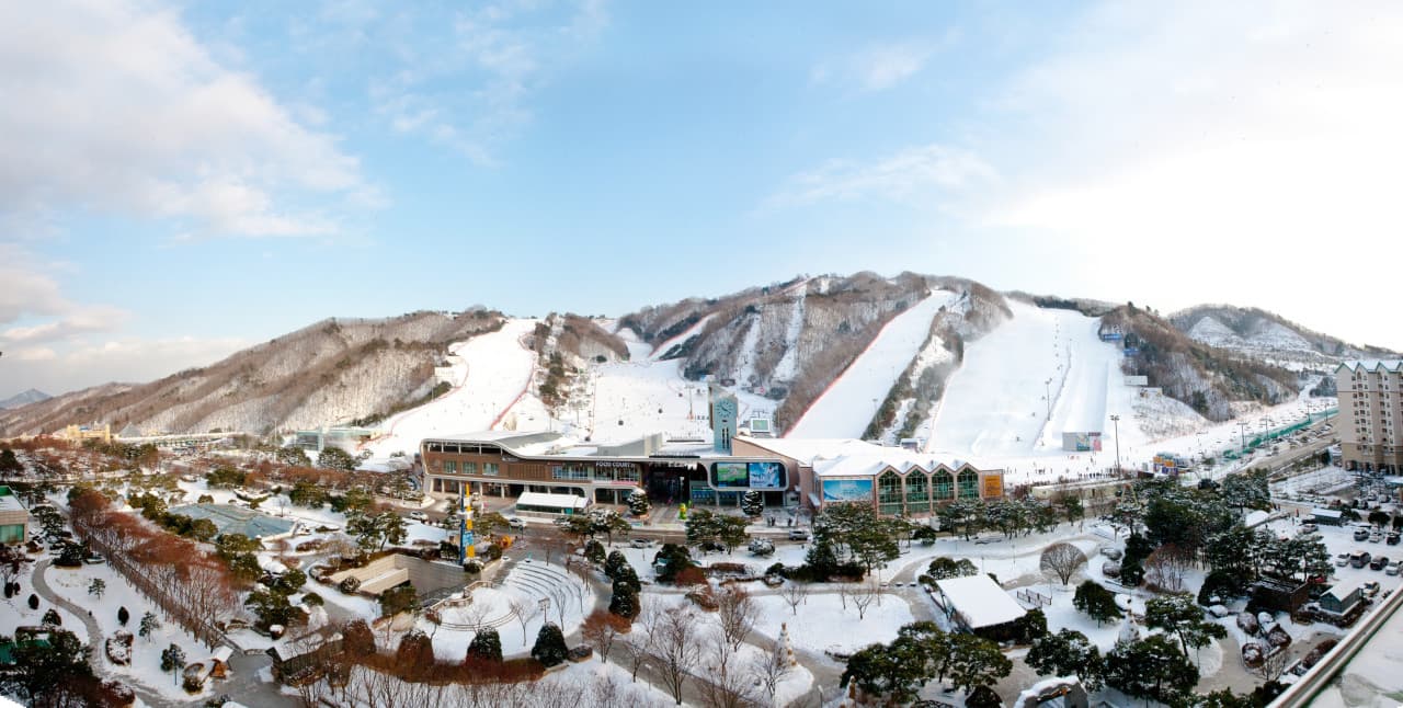 Vivaldi Park Ski World and Nami Island Full-Day Tour from Seoul – photo 5