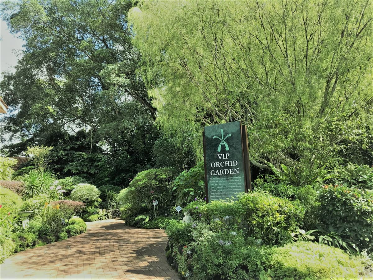 National Orchid Garden Ticket