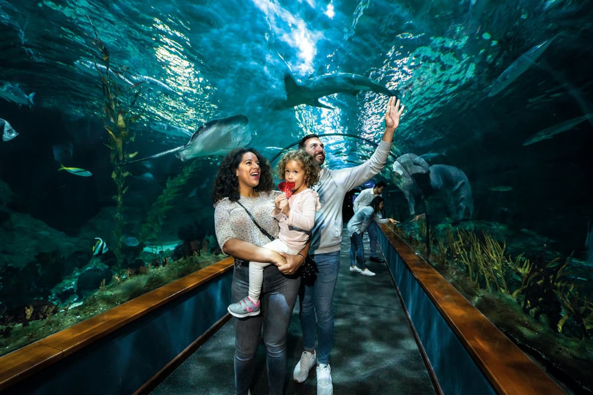 Loro Parque Ticket