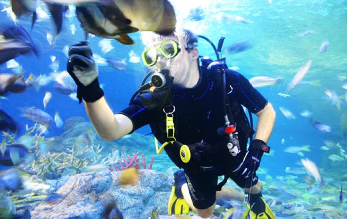 Underwater World Pattaya