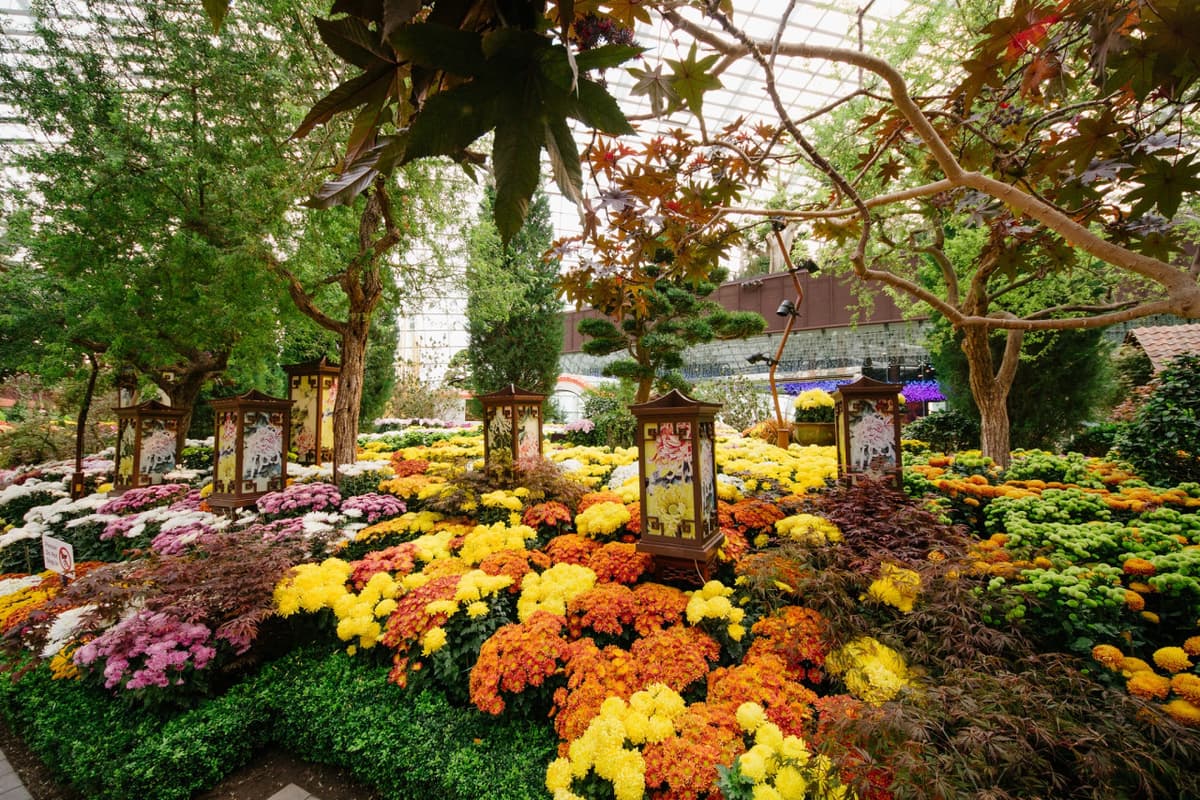 COMBO: Gardens by the Bay - Floral Fantasy + National Orchid Garden