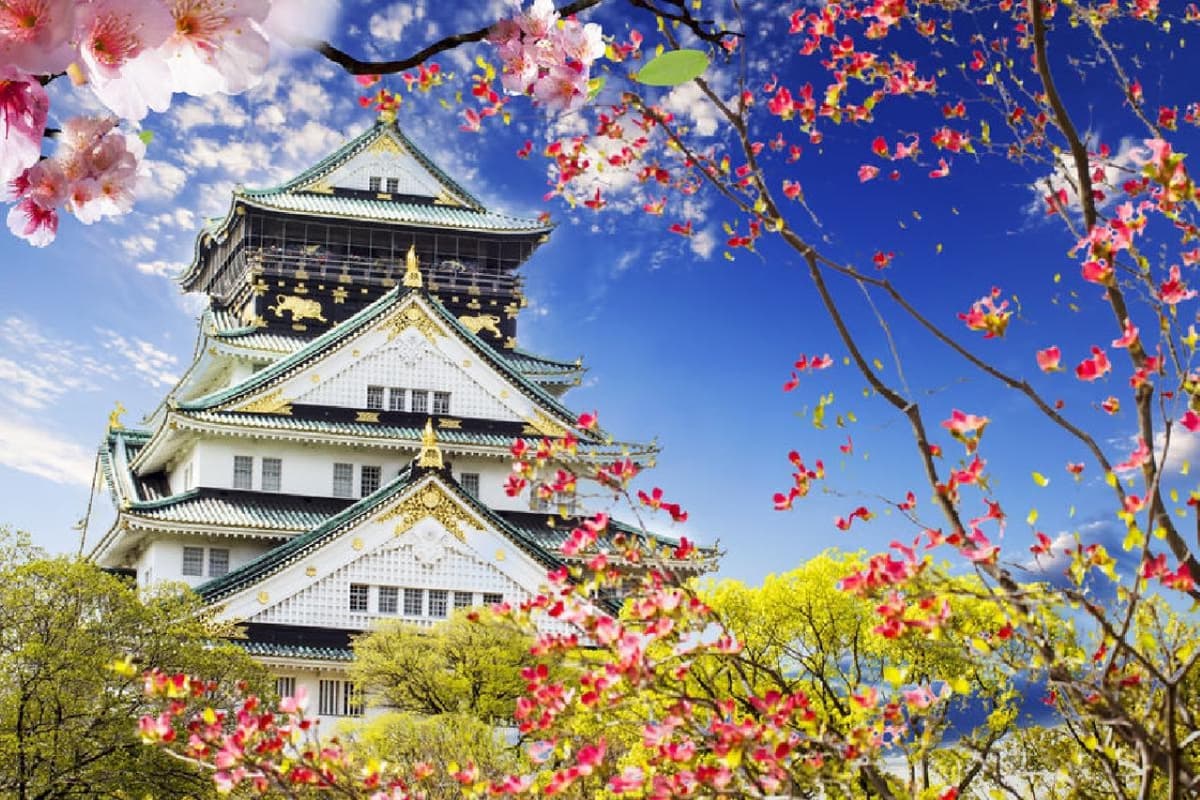 Osaka Sky Vista or Nani Wonder Sightseeing Bus Tour