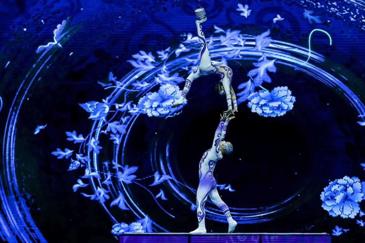 Acrobatic Show with Peking Roast Duck Dinner
