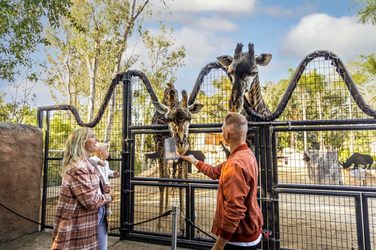 Go City Los Angeles All-Inclusive Pass Plus: Save up to 50% on Attractions