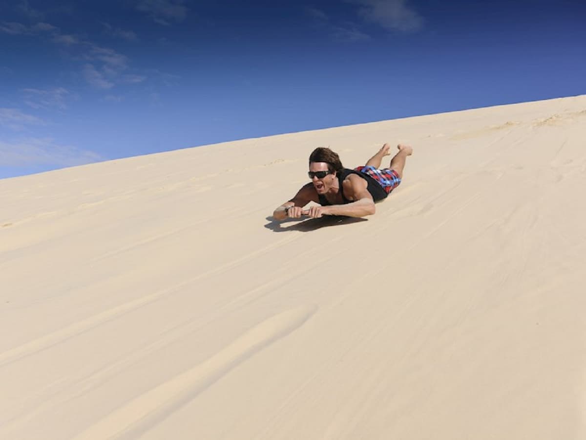 Tangalooma Island Tour with Dolphin Viewing