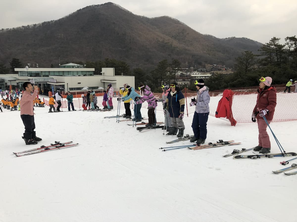 Jisan Forest Ski Resort Full-Day Tour from Seoul