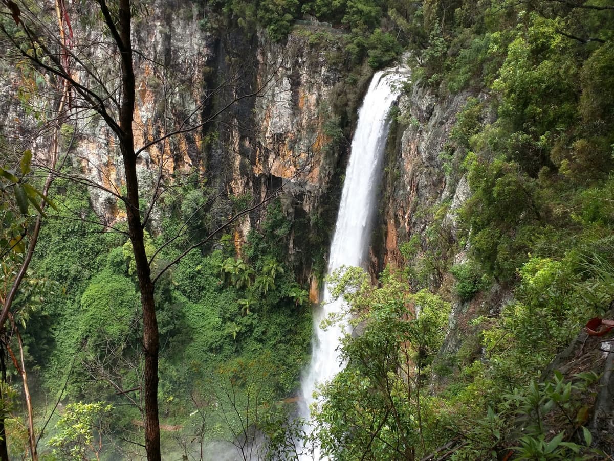 Springbrook National Park Tour: Natural Bridge and Waterfalls