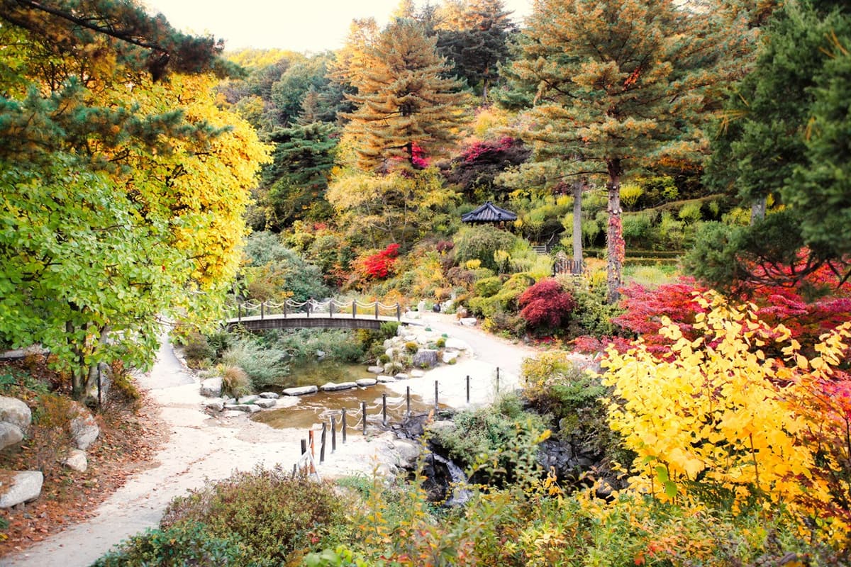 Nami Island, Mount Seorak, and Garden of Morning Calm Full-Day Tour from Seoul
