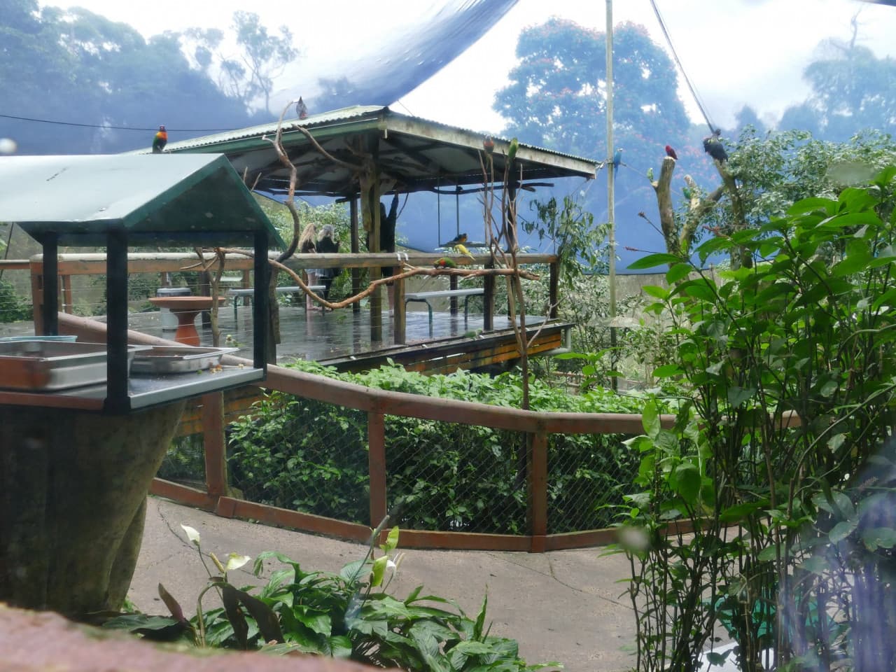 Birdworld Kuranda