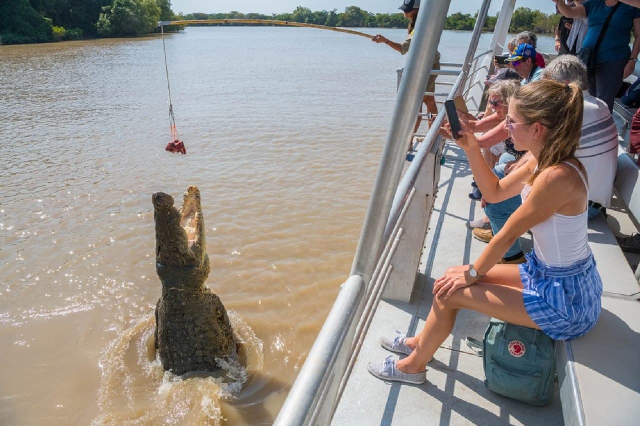 Spectacular Jumping Crocodile Cruise – photo 2