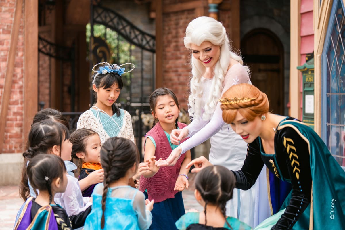 Hong Kong Disneyland Disney Premier Access Ticket