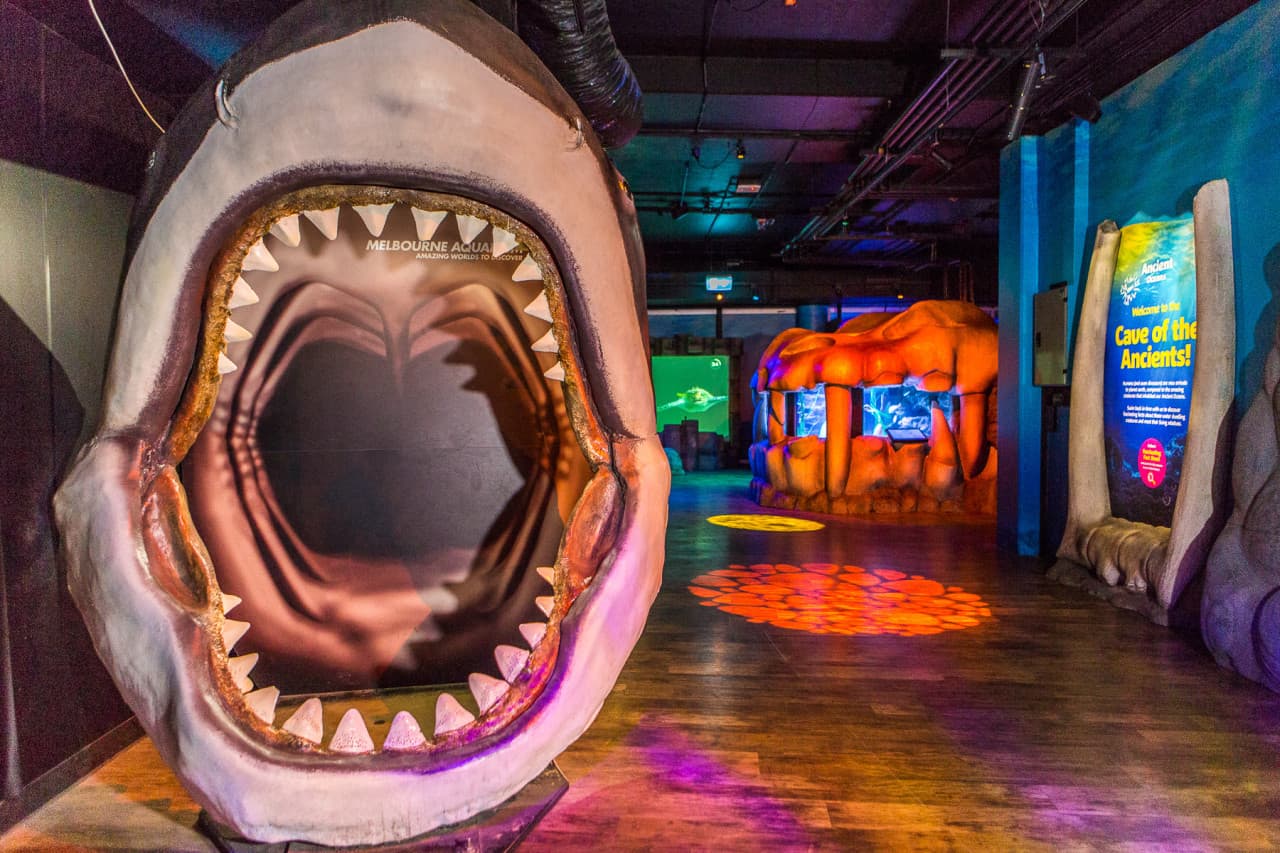 SEA LIFE Melbourne Aquarium Direct Entry Ticket – photo 13
