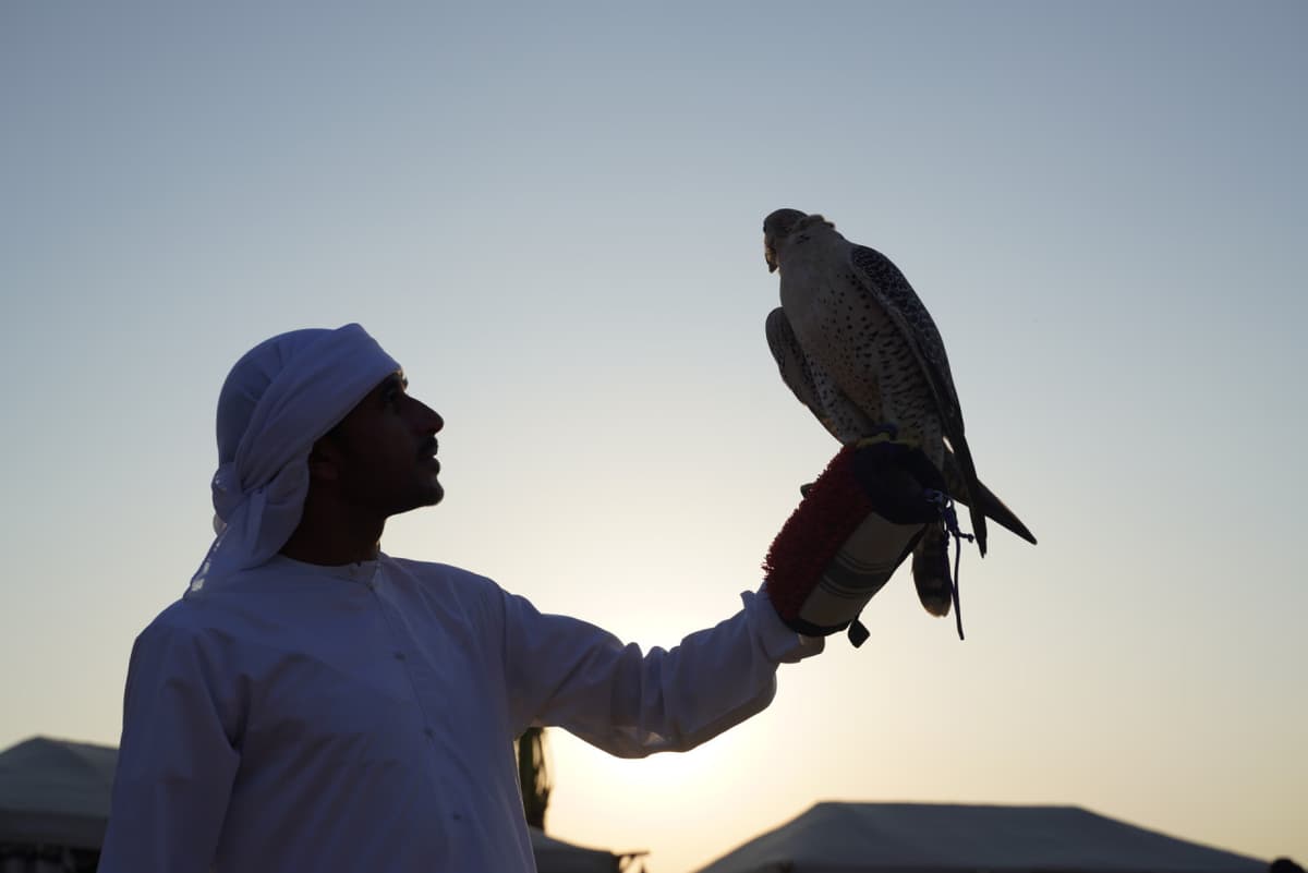 Dubai Red Dunes Desert Safari Tour with Camel Ride and Buffet Dinner at Al Khayma Camp