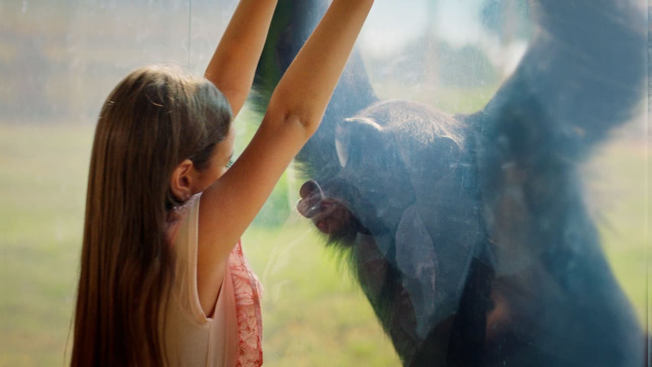 Dubai Safari Park Ticket – photo 18