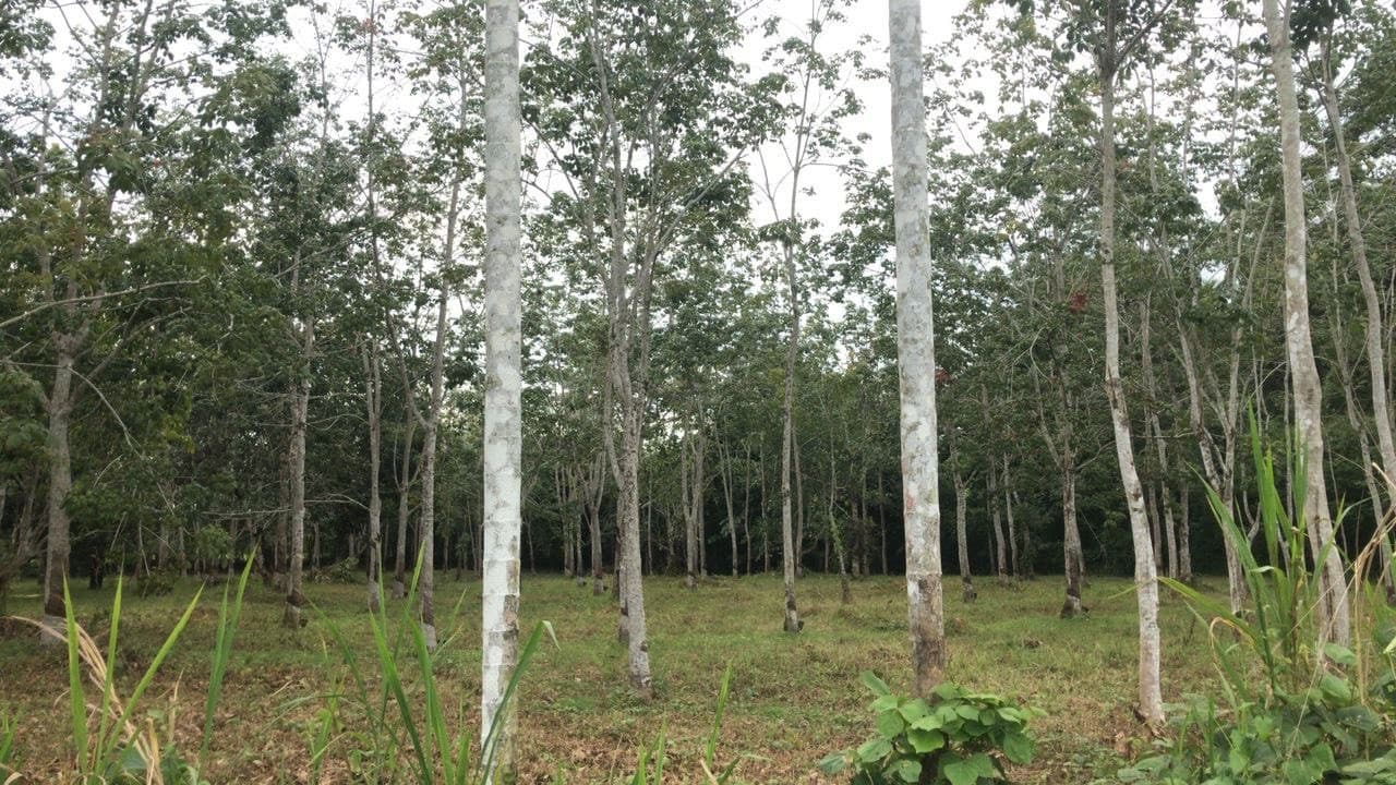 Langkawi Countryside Biking – photo 6