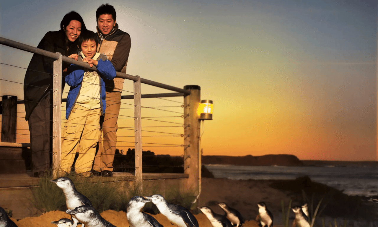 Phillip Island with Penguin Parade Eco Tour – photo 3