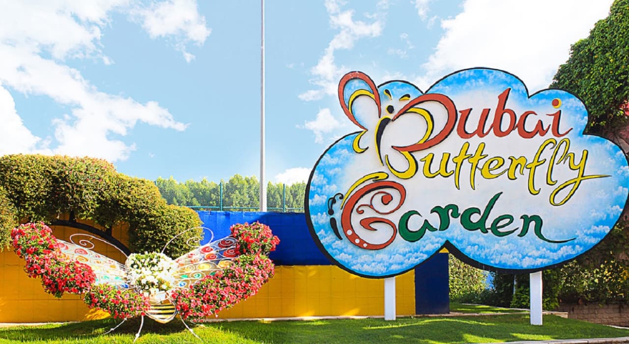 COMBO: Dubai Miracle Garden + Dubai Butterfly Garden Tickets – photo 5