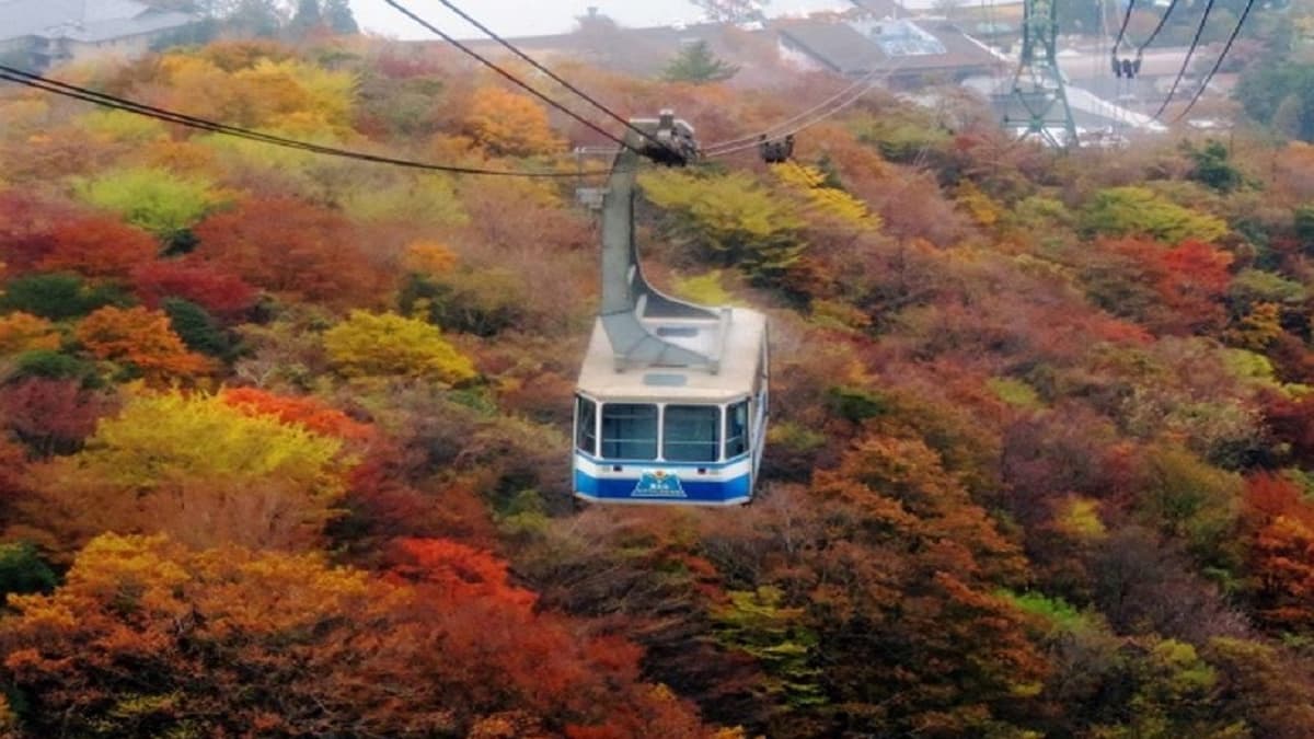 Mount Fuji and Hakone Tour
