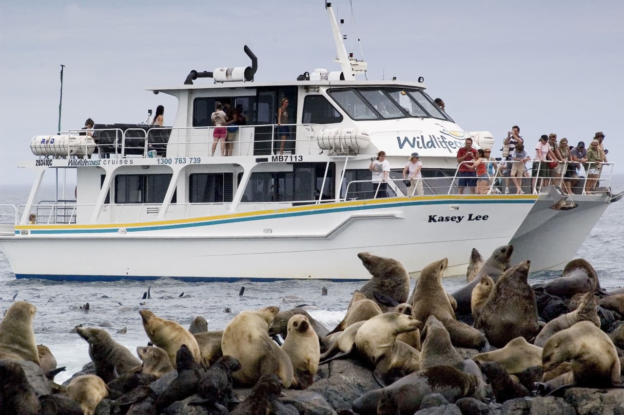 Phillip Island Seal Watching Cruise – photo 3