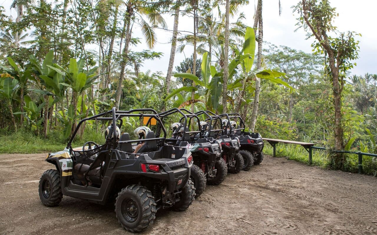 Bali's Thrilling Jungle Buggy Adventure by Mason Adventures – photo 3