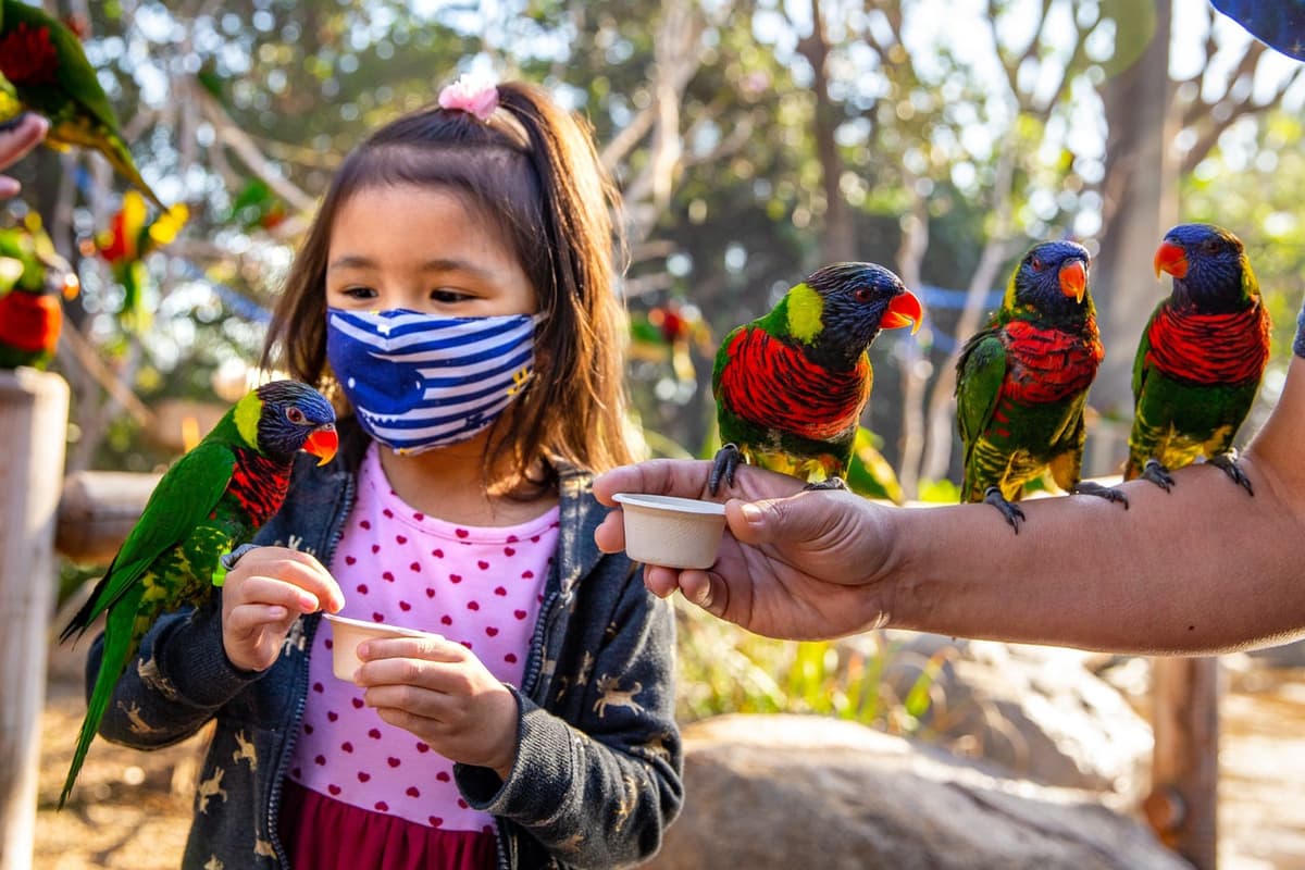Skip The Line Ticket - Aquarium of the Pacific