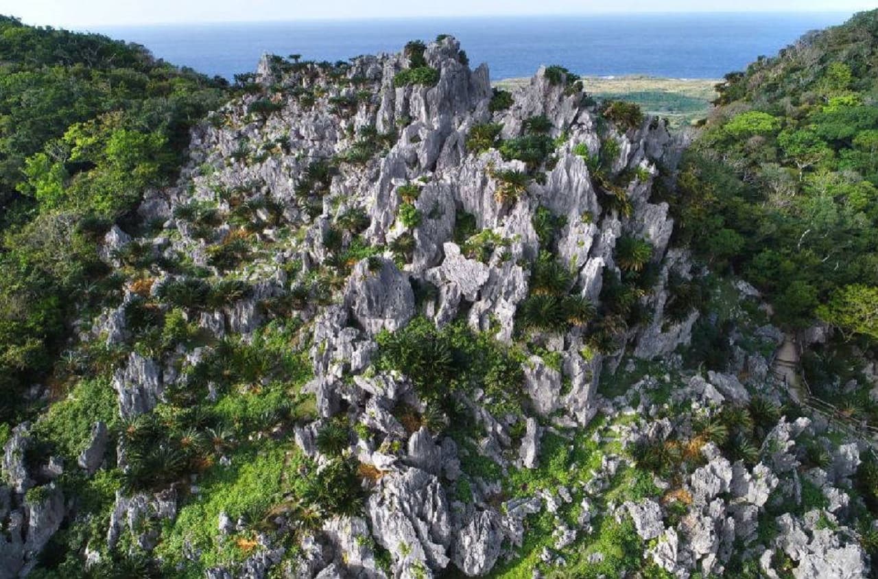 Okinawa Churaumi TokuToku 5 Pass