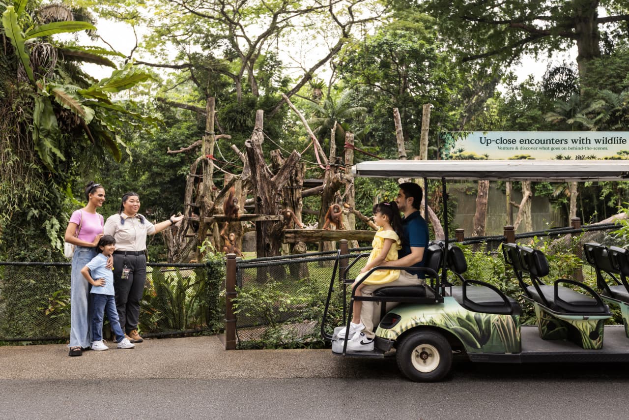 Singapore Zoo Ticket – photo 4