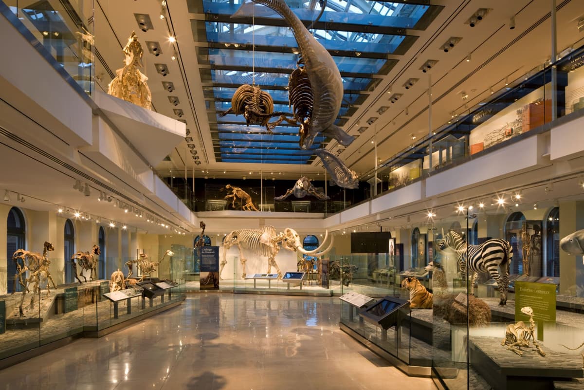 Go City Las Vegas Explorer Pass: Save up to 50% on Attractions