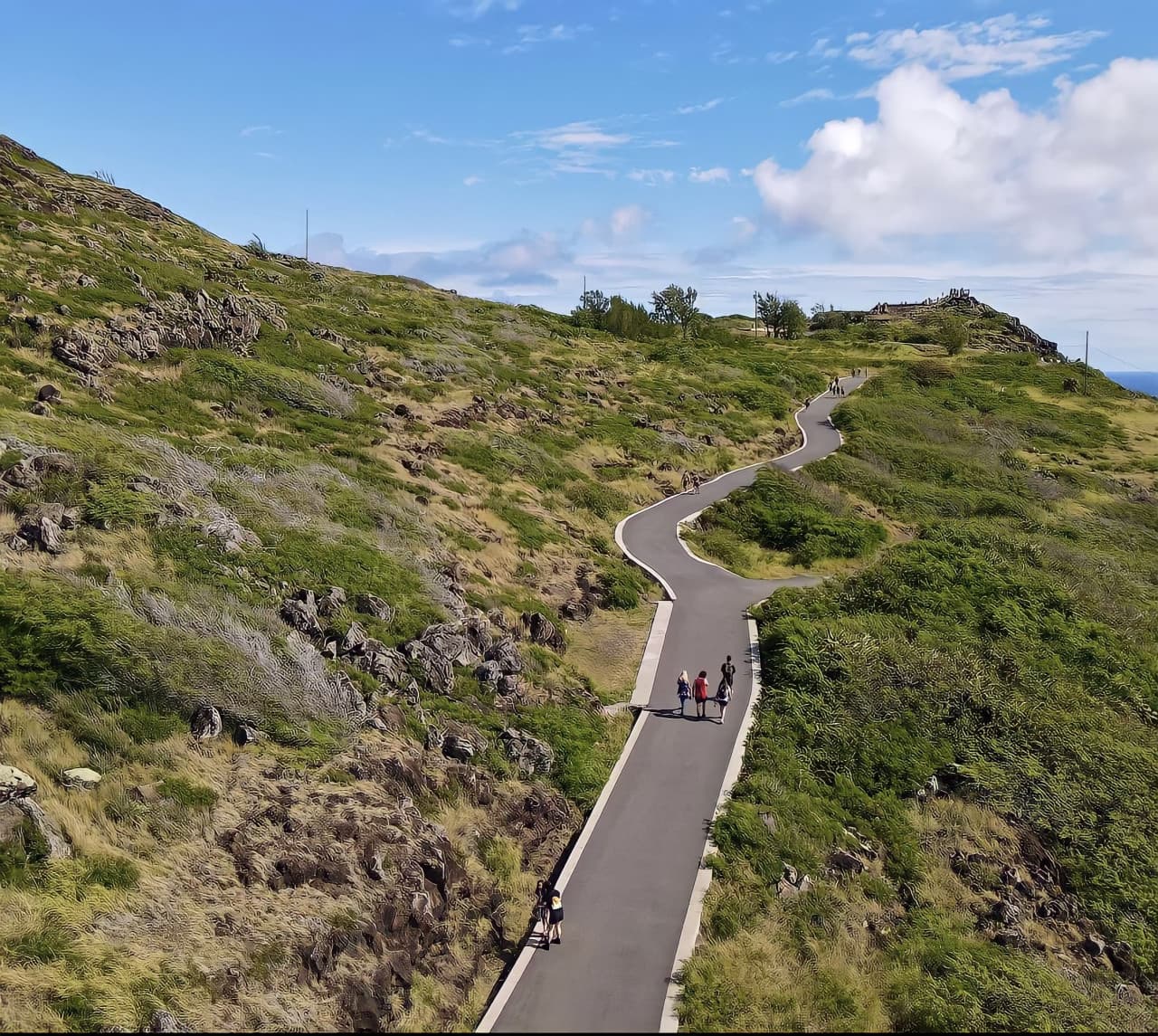Go City Oahu Explorer Pass: Save up to 50% on Attractions – photo 47