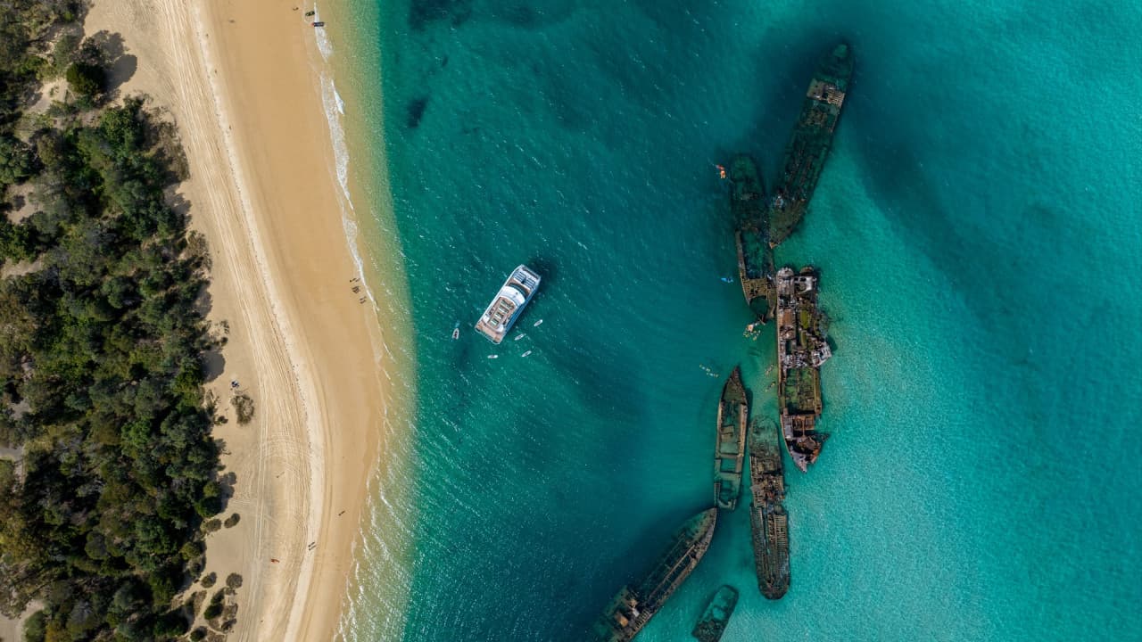 Tangalooma Wrecks & Dolphin Cruise Optional Round transfer from Brisbane City and Gold Coast – photo 14