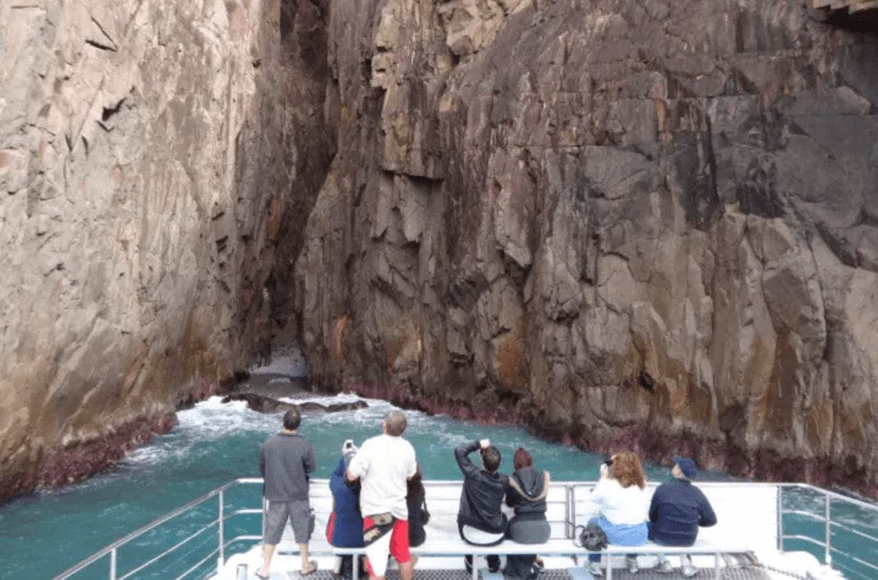 Port Stephens Dolphin Watch and Eco Adventure Cruise – photo 3
