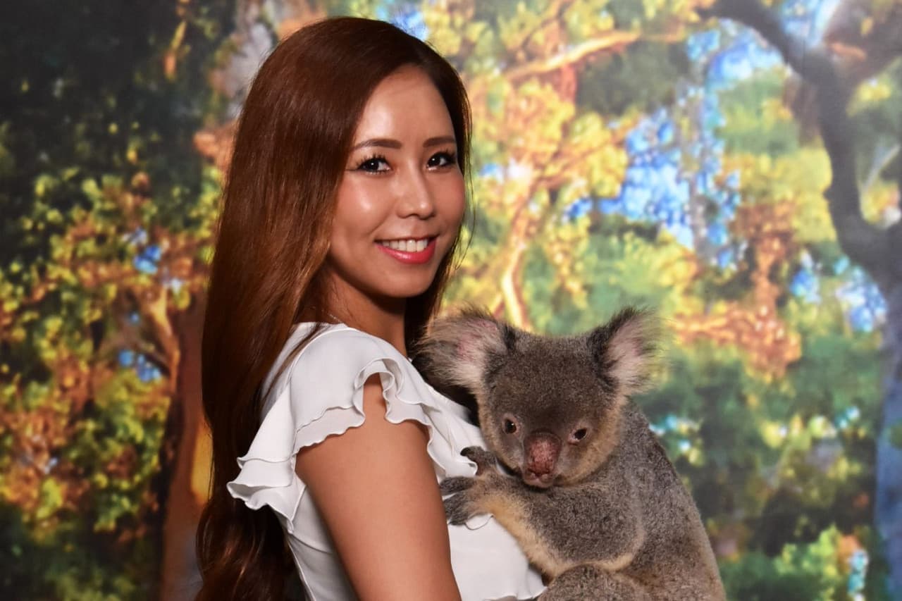 Cairns Koalas and Creatures at the Pier Ticket – photo 2