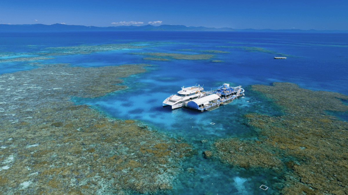 Great Barrier Reef Pontoon Full-Day Tour at Moore Reef