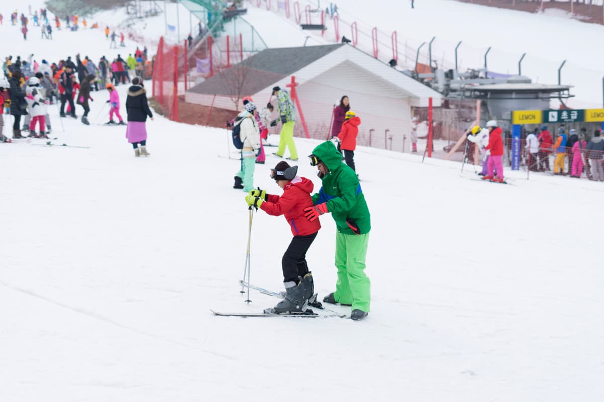 Jisan Forest Ski Resort Full-Day Tour from Seoul