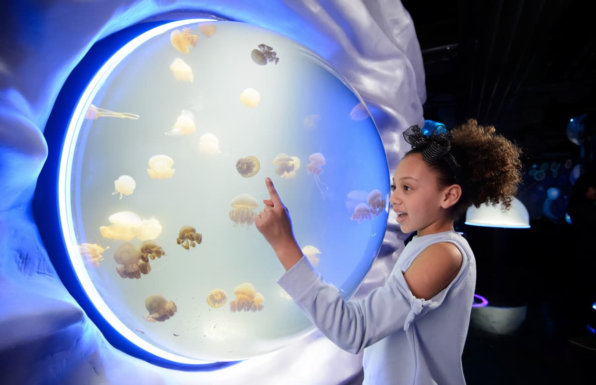 SEA LIFE London Aquarium Ticket