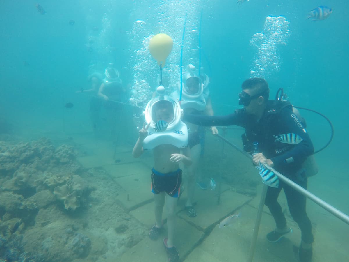 Cham Islands Underwater Walking and Snorkelling Half-Day Tour from Da Nang